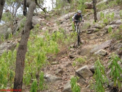20070114-Coba 342 